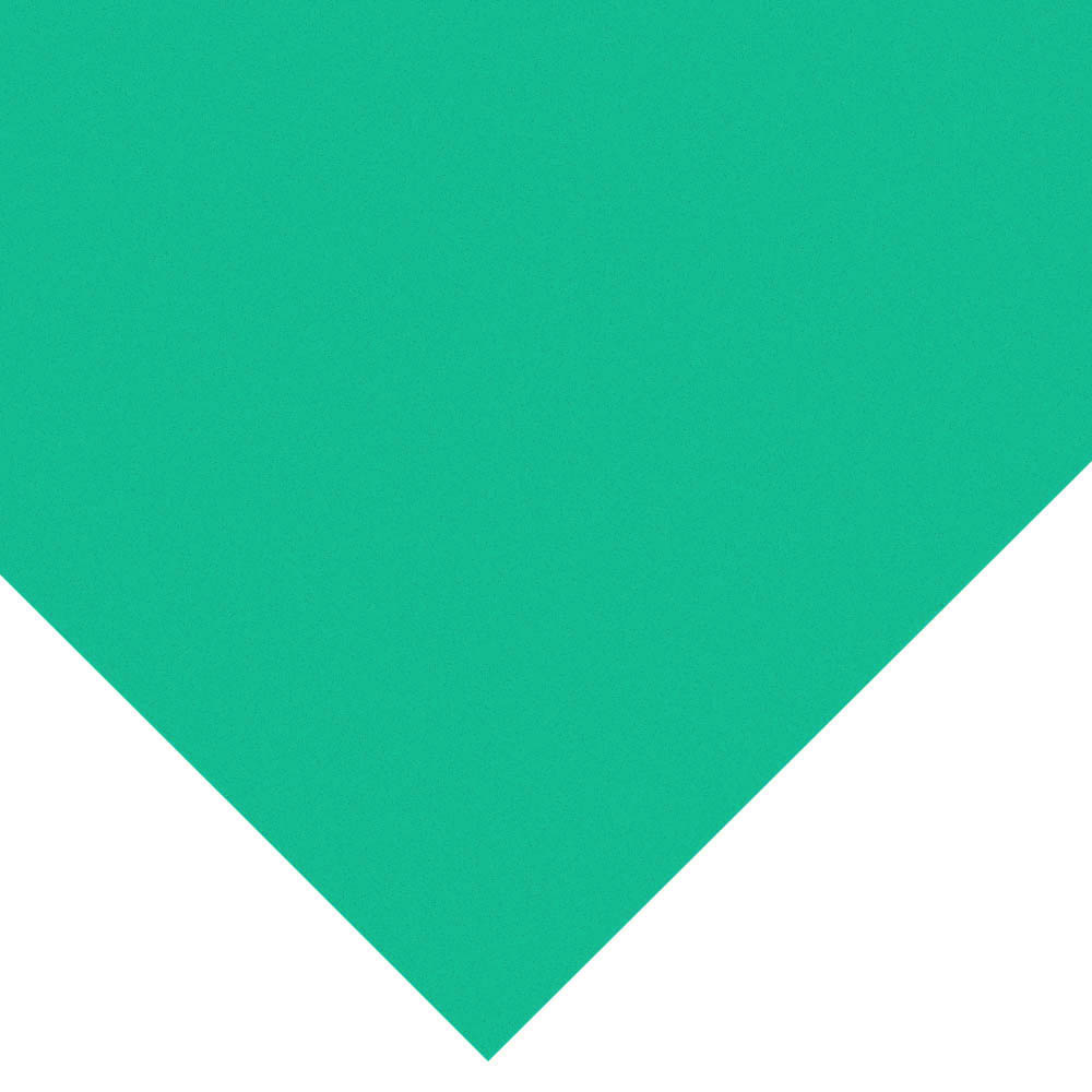フォ－レックス　Ｅ－５００６　緑　Ｍ－３　４５０ｘ６００ｘ３ｍｍ