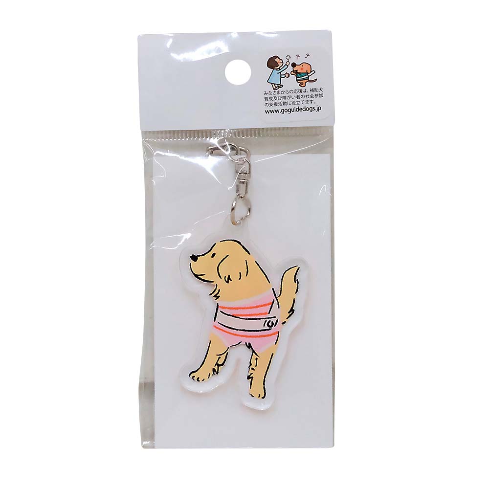 アクリルキーホルダー盲導犬ゴールデン