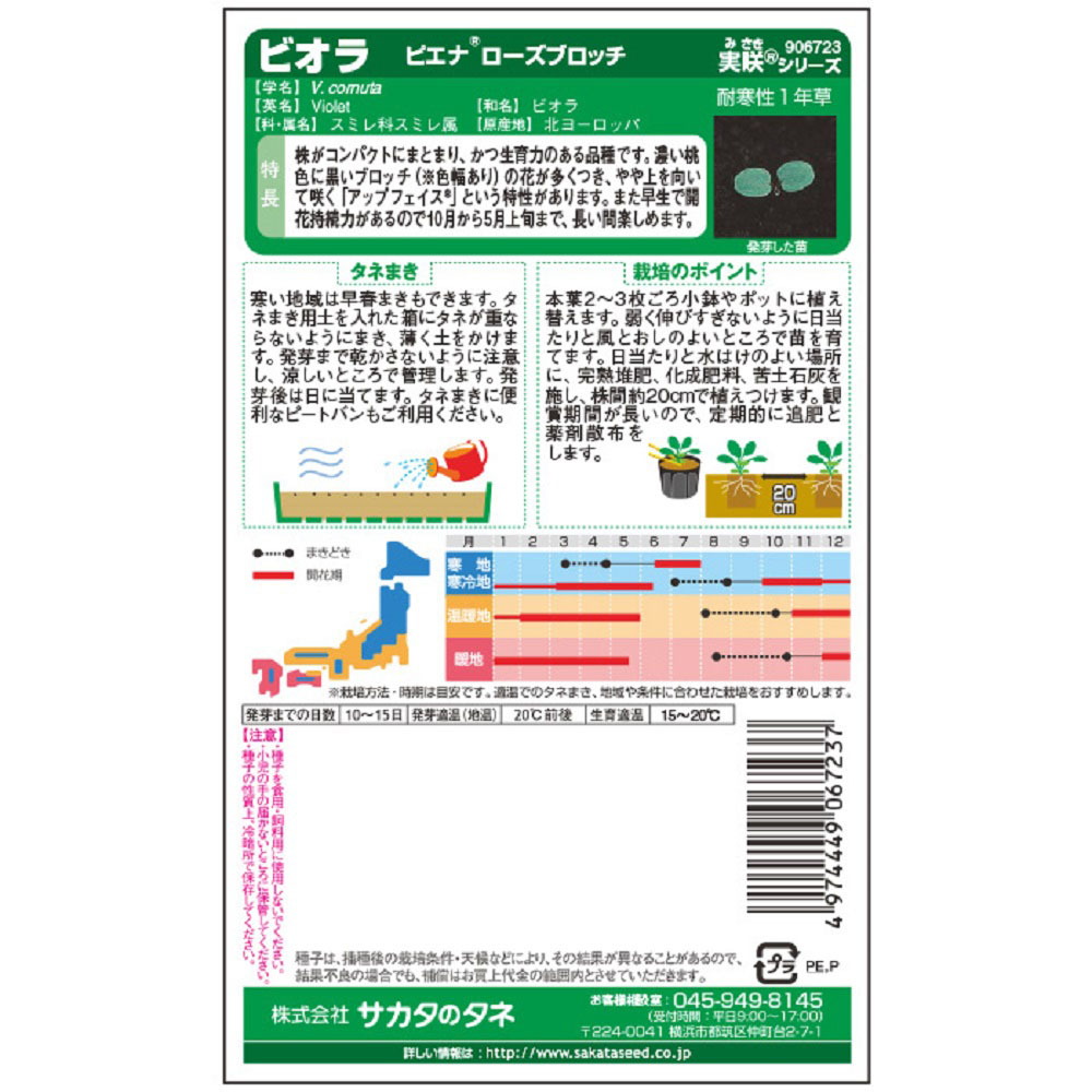 ビオラ_ピエナ_ローズブロッチ　春秋兼用