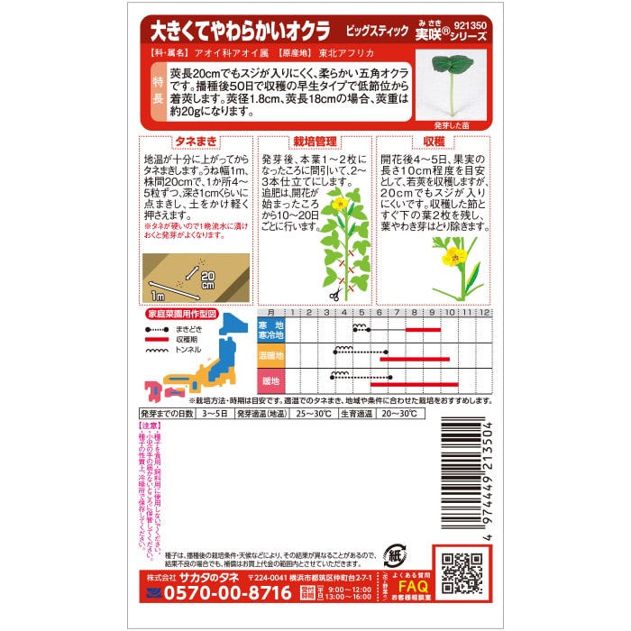 オクラ　大きくてやわらかいオクラ　春まき