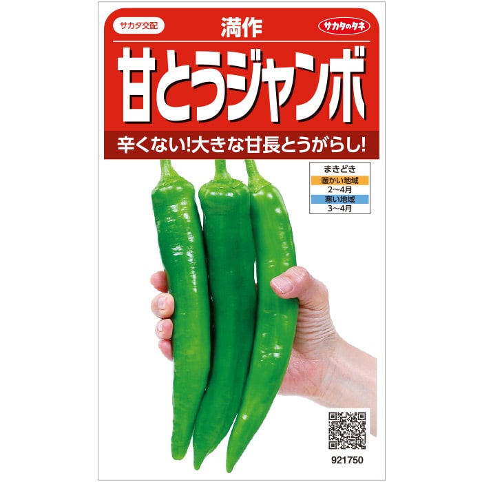 トウガラシ　甘とうジャンボ　春まき