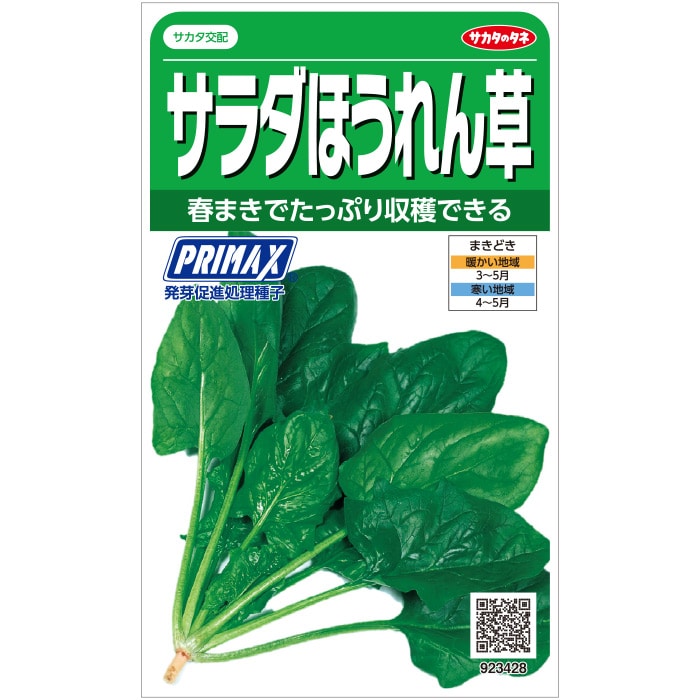 ホウレンソウ　ＰＲＩＭＡＸ　サラダほうれん草　春まき