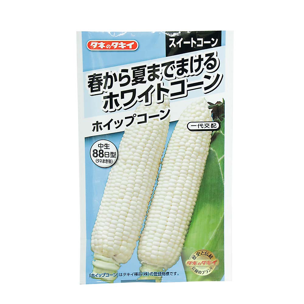 春から夏までまけるホワイトコーン ホイップコーン　春まき