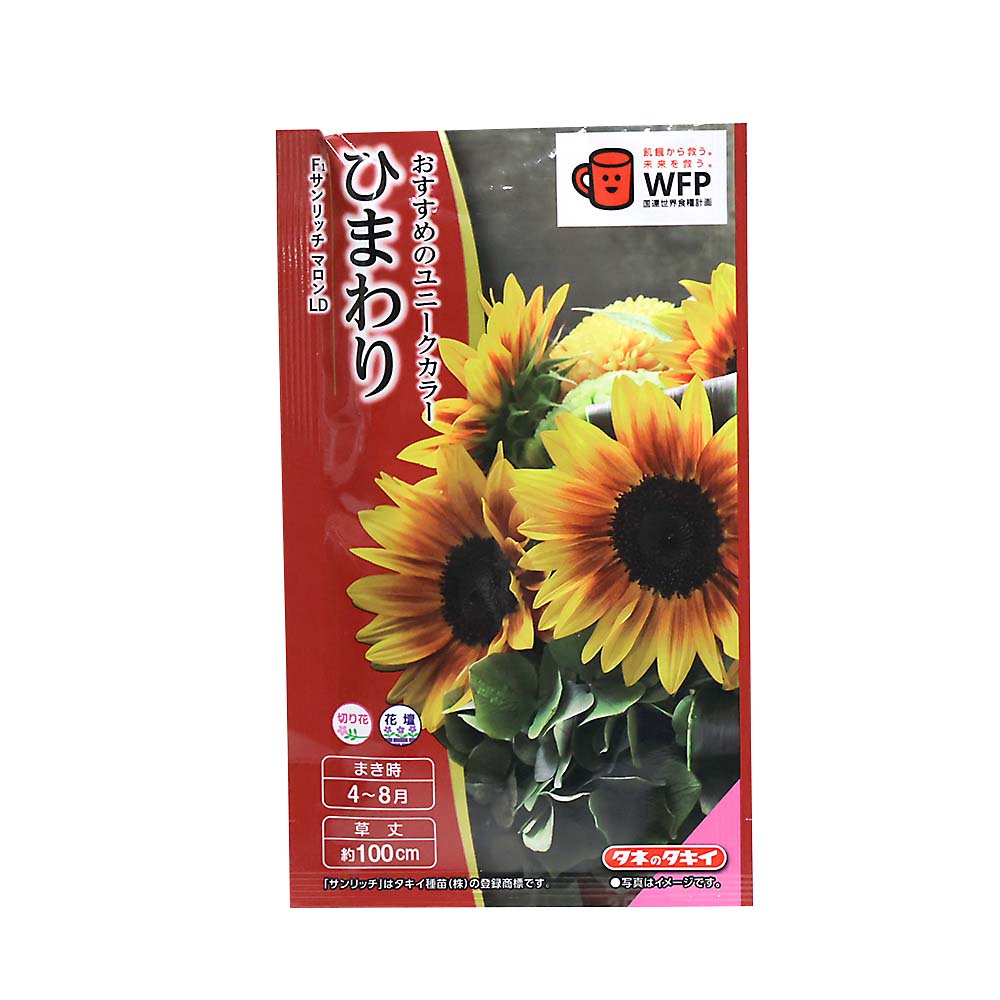 菜の花＿寒咲系混合 春秋兼用 | ジョイフル本田 取り寄せ＆店舗受取