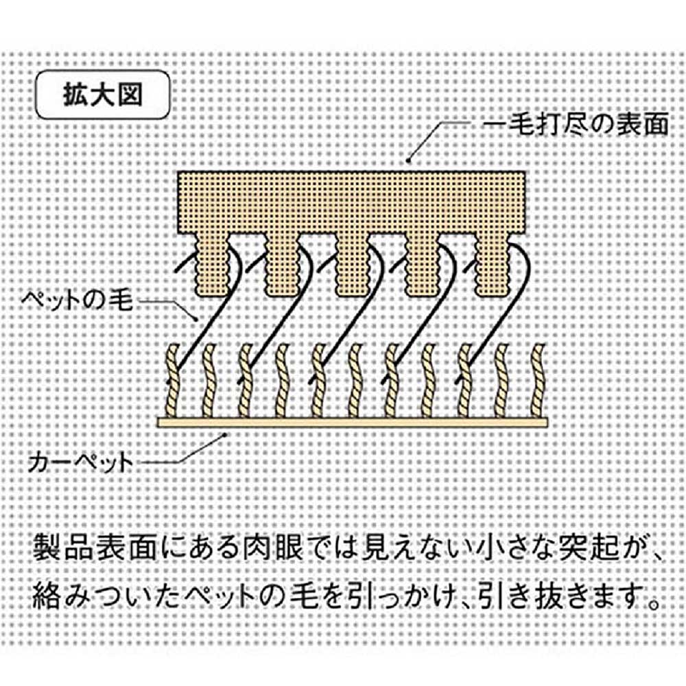 一網打尽　クルマ･ソファーヨウ