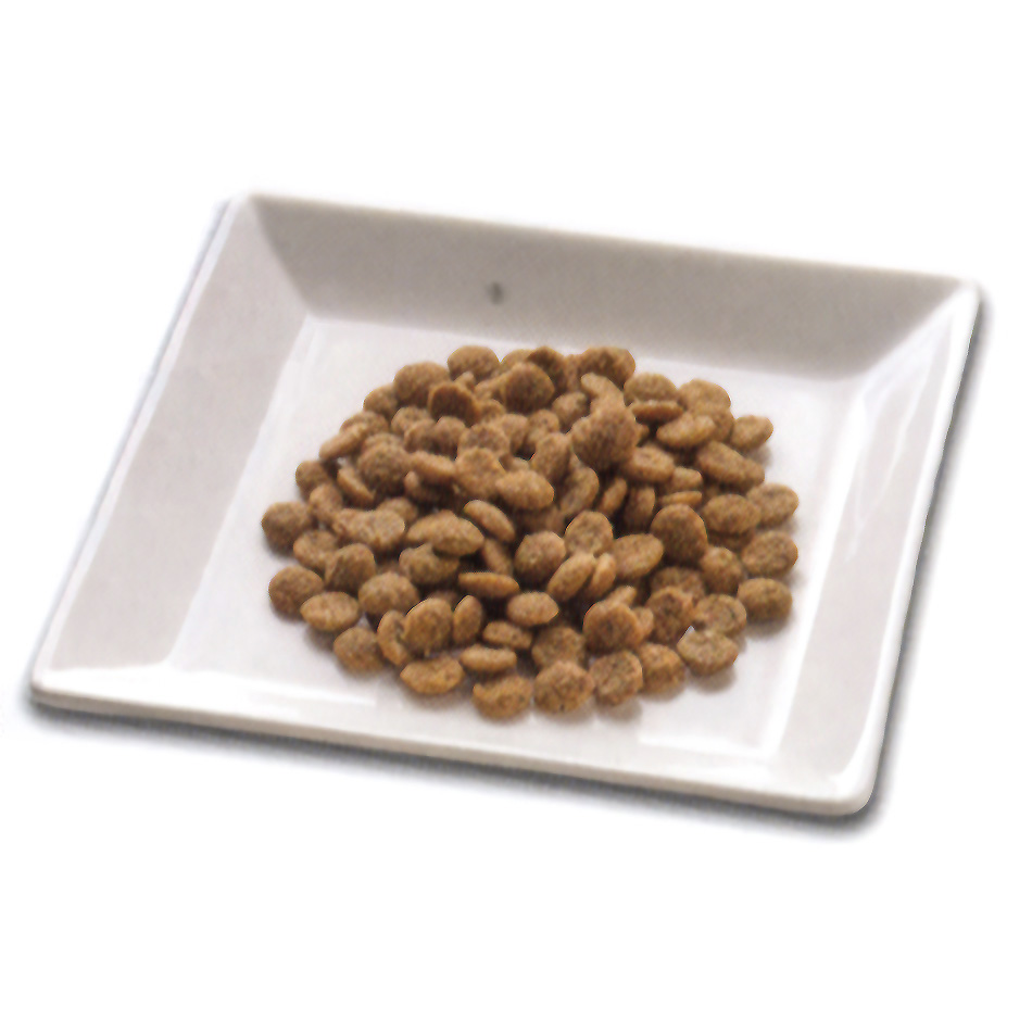 シュプレモ 成猫用 サーモン&チキン 2kg