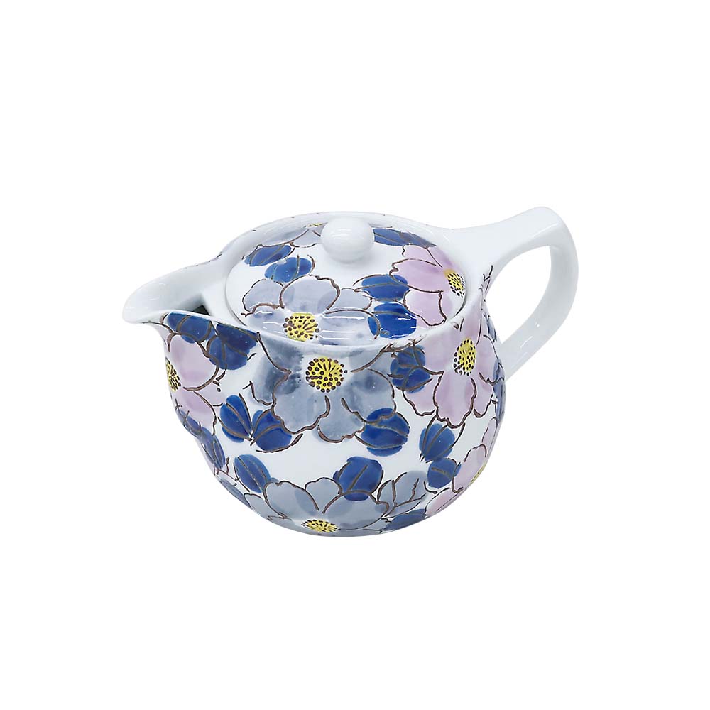 二色山茶花　ポット　ＷＴ