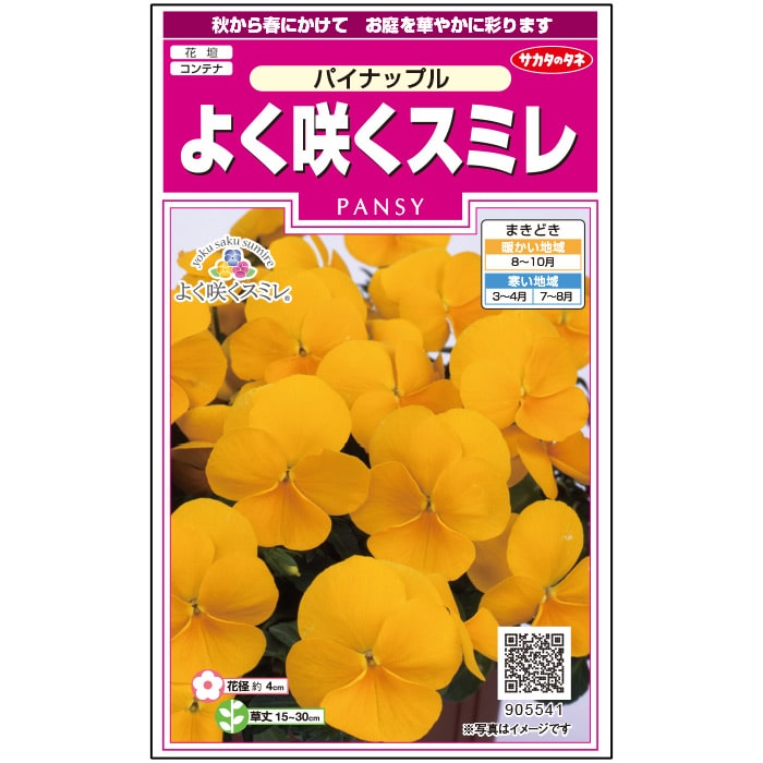 よく咲くスミレ パイナップル　春秋兼用