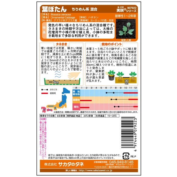 葉ぼたん ちりめん系混合　春秋兼用