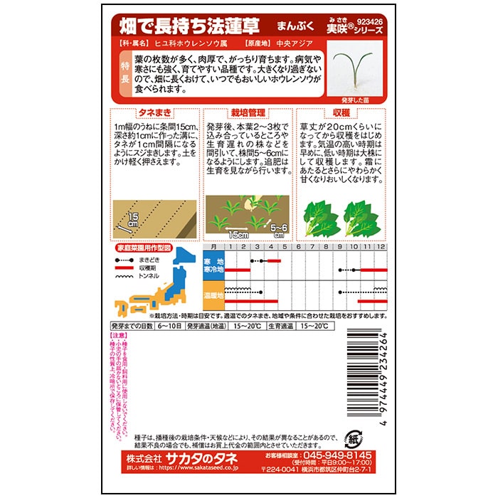 ホウレンソウ 畑で長持ち法蓮草 まんぷく　春秋兼用