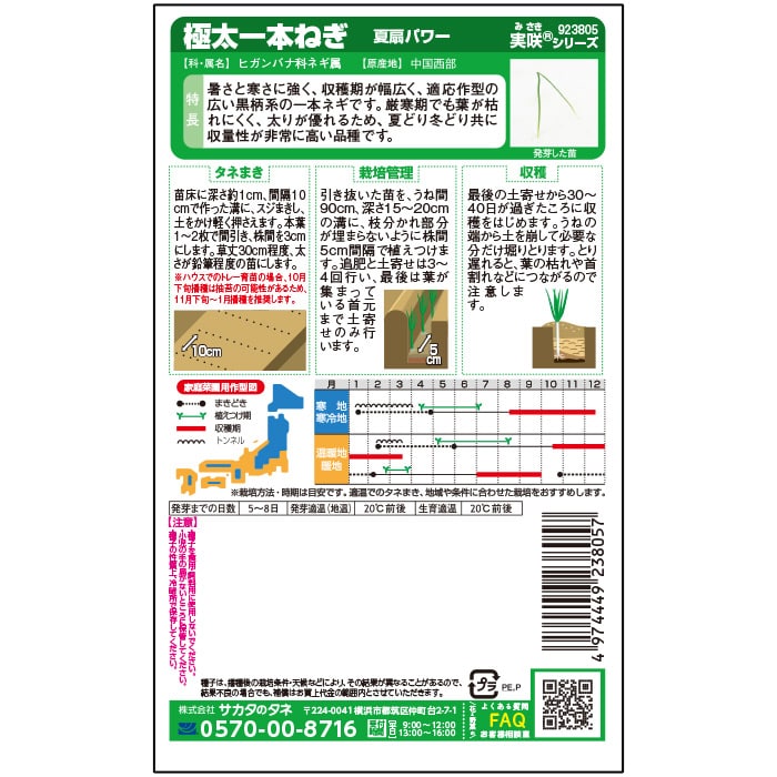 ネギ 極太一本ねぎ 夏扇パワー　春秋兼用