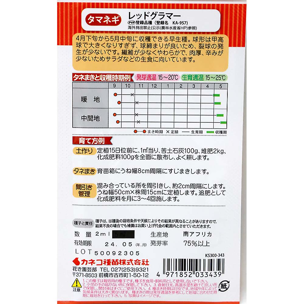 タマネギ 赤タマネギ レッドグラマー　秋まき