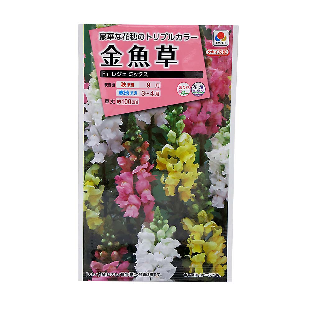金魚草 レジェミックス　秋まき