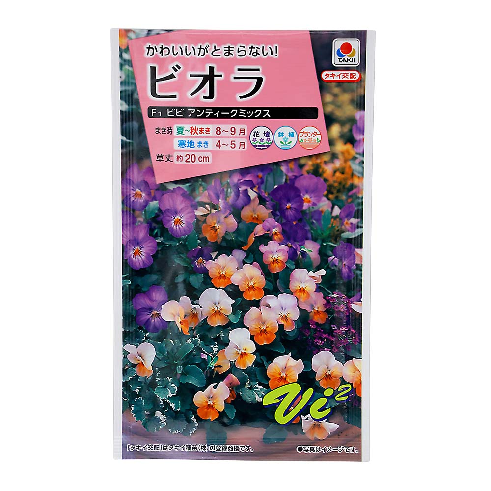 ビオラ ビビアンティークミックス　秋まき