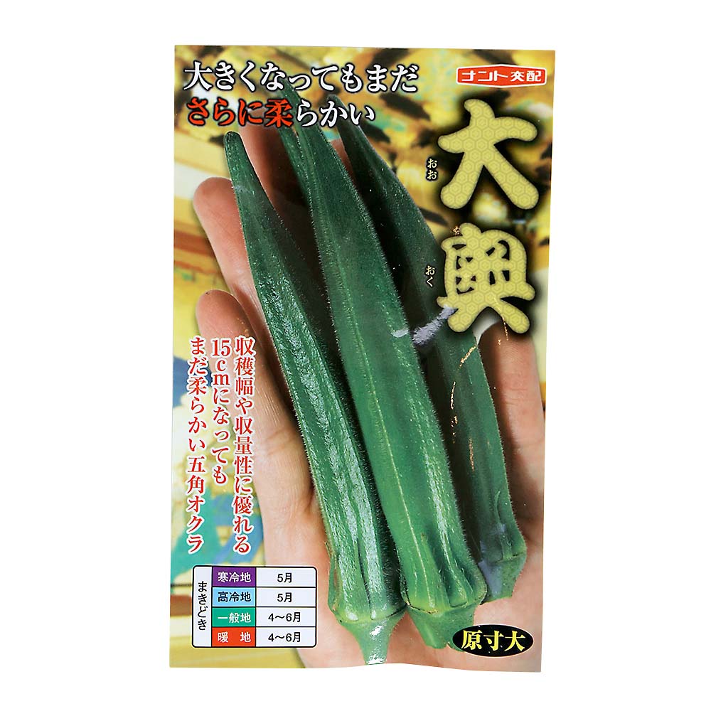 大奥　春まき