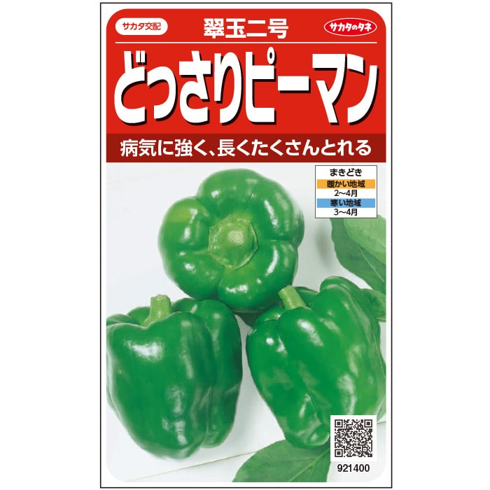 ピーマン＿どっさりピーマン　翠玉二号　春まき