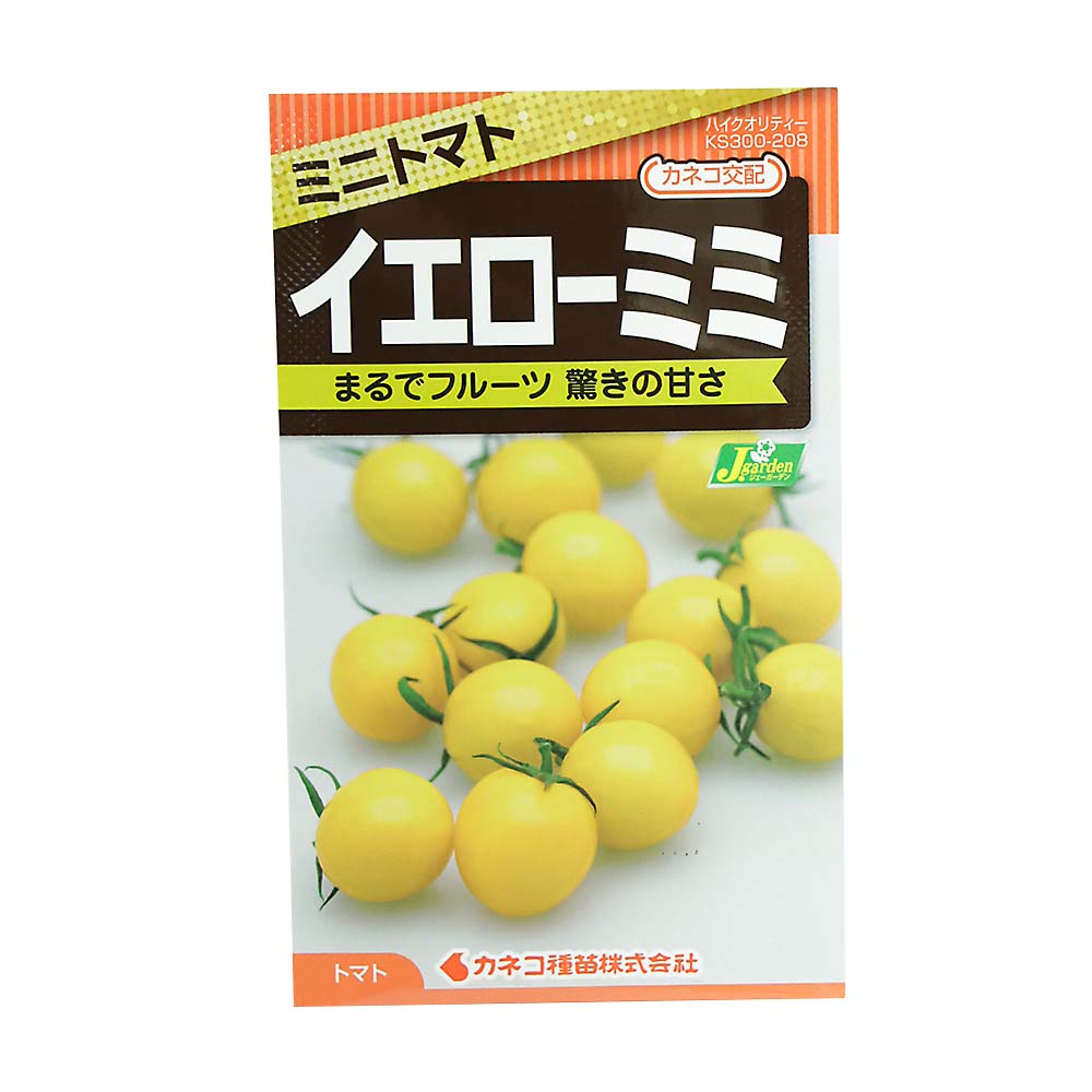 トマト ミニトマト イエローミミ　春まき