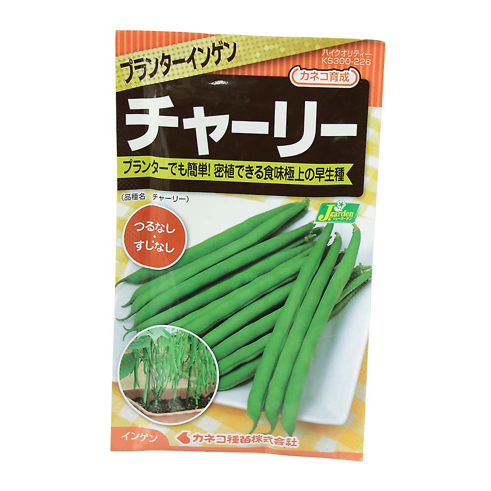 インゲン つるなしプランターいんげん チャーリー　春まき