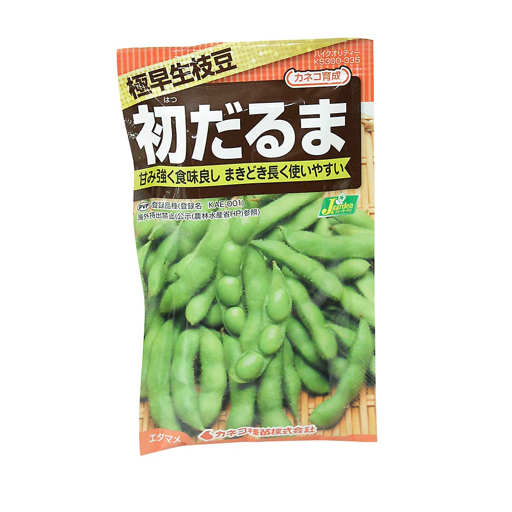 エダマメ 極早生 初だるま　春まき