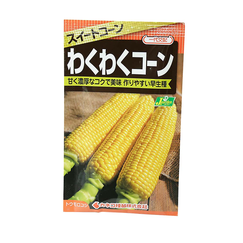 コーン スイートコーン わくわくコーン(82)　春まき