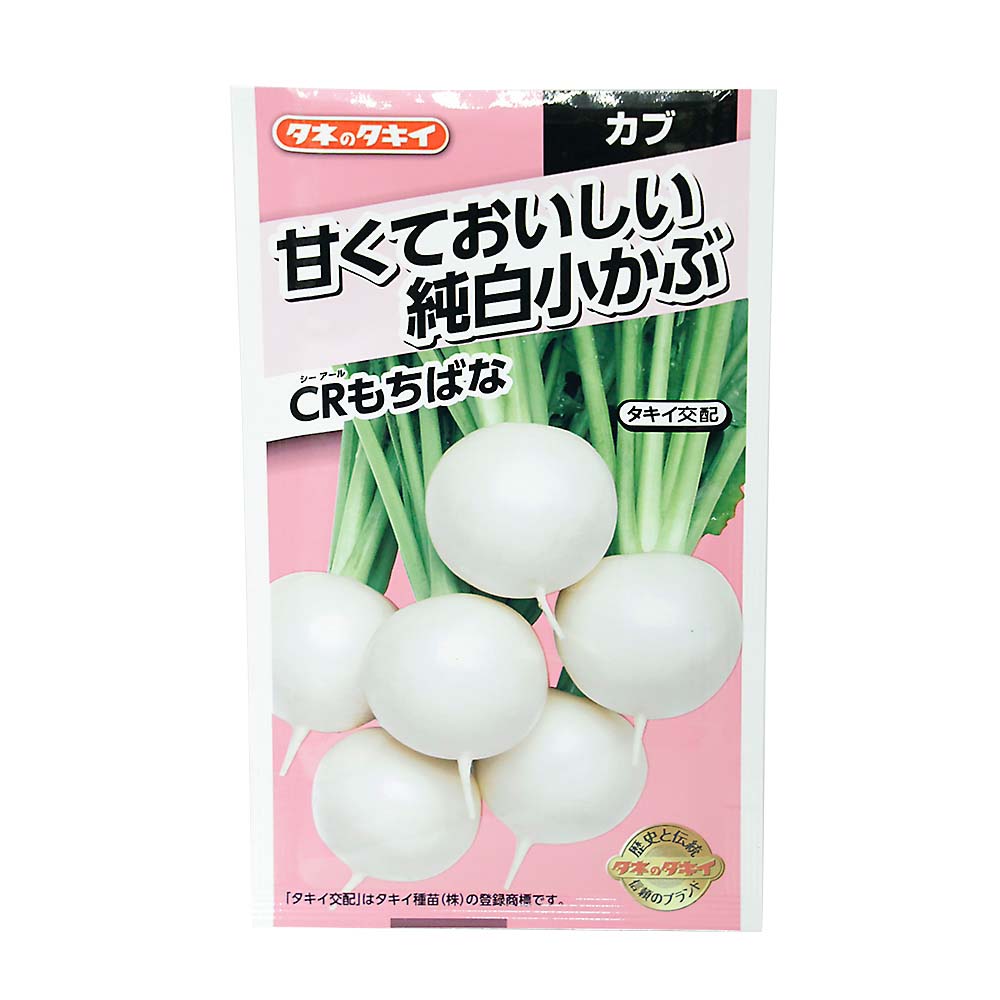 おいしい純白小かぶ CRもちばな　春まき
