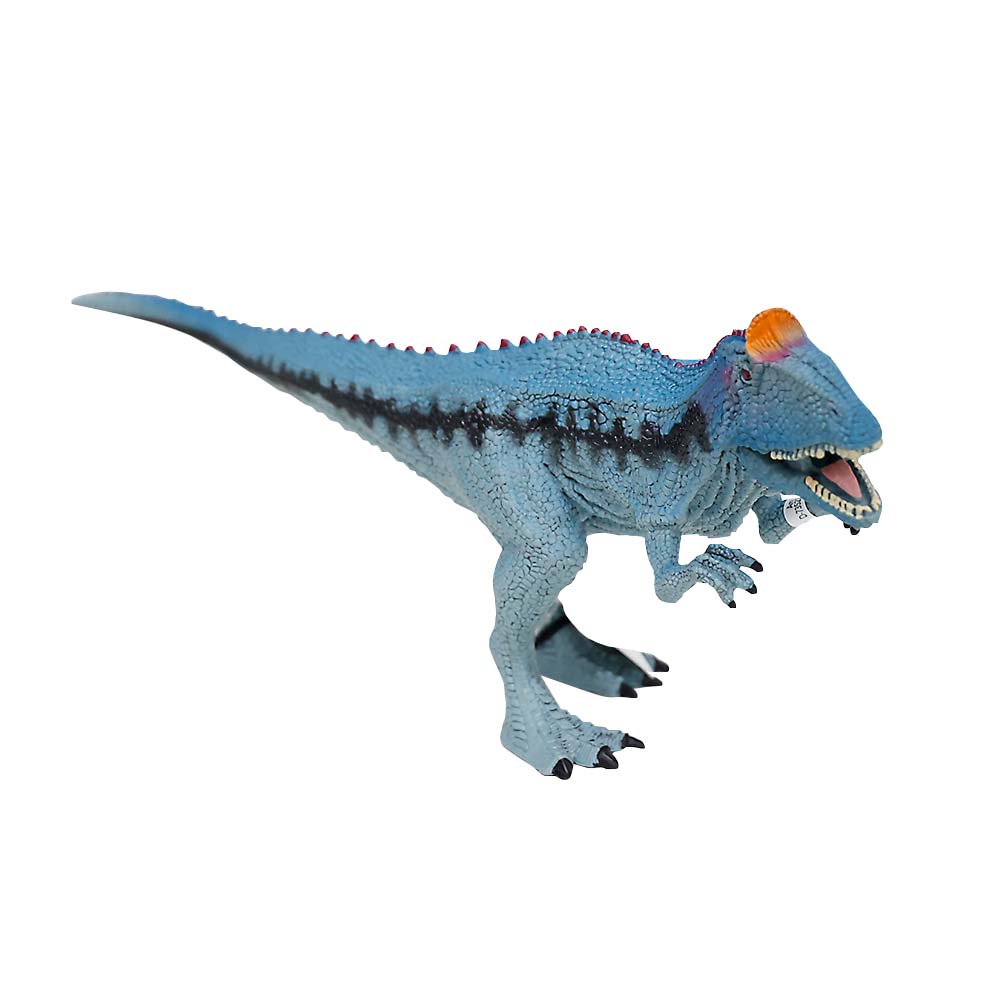 クリオロフォサウルス　１５０２０