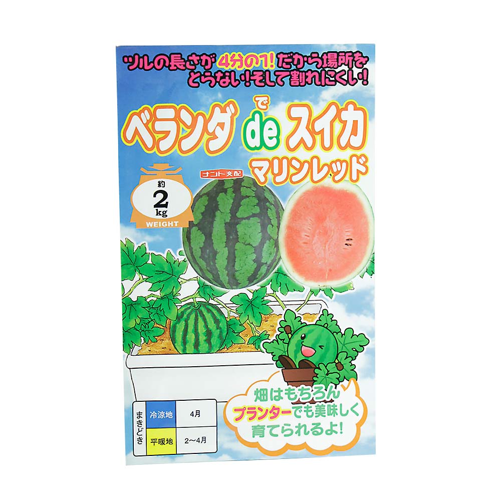ベランダdeスイカ　春まき