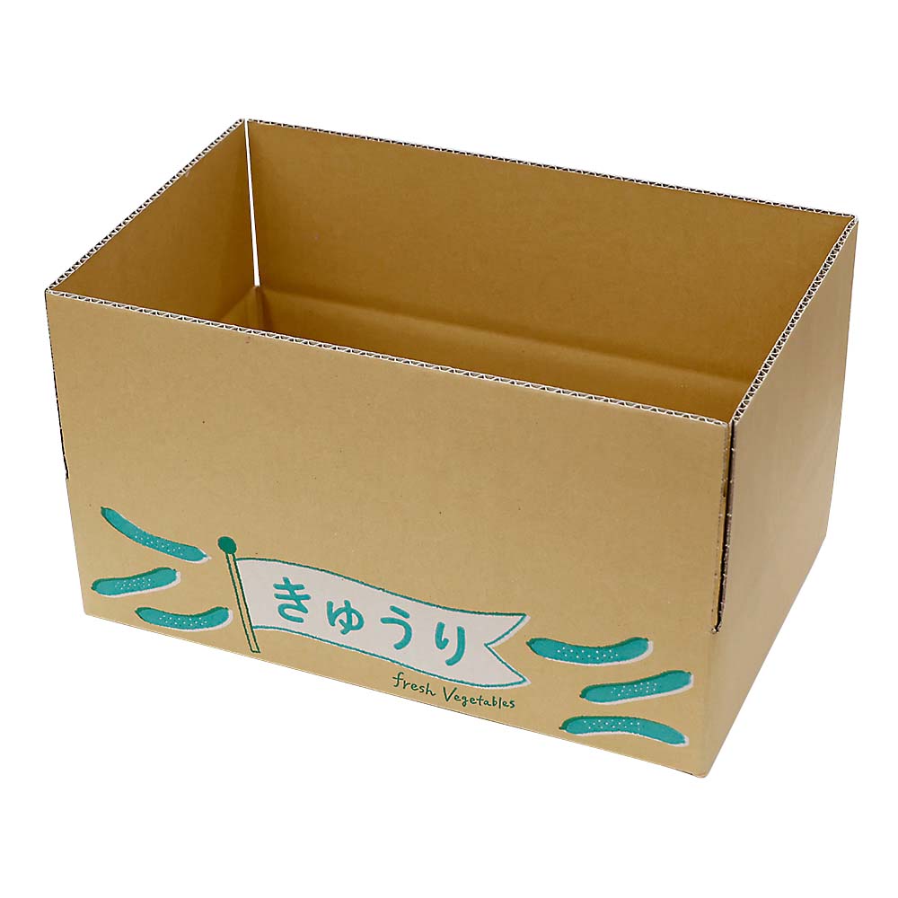 野菜ダンボール　きゅうり　５ｋｇ