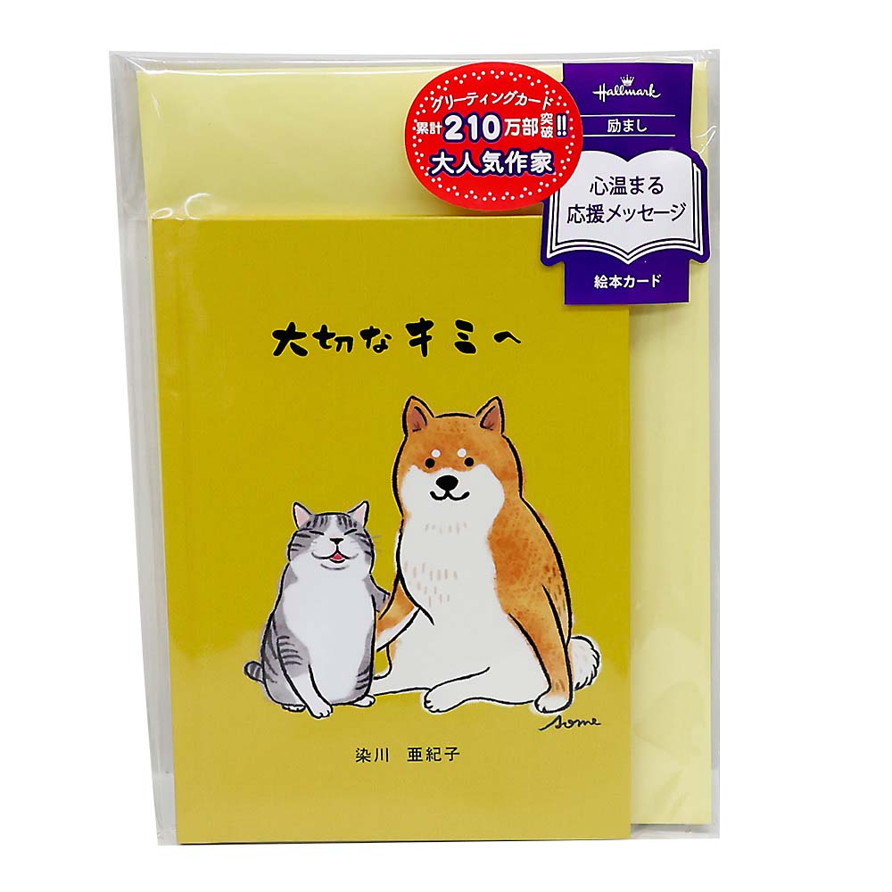 ＧＦＳ絵本大切なキミへⅡ　ＥＡＰ－８１６－８４１