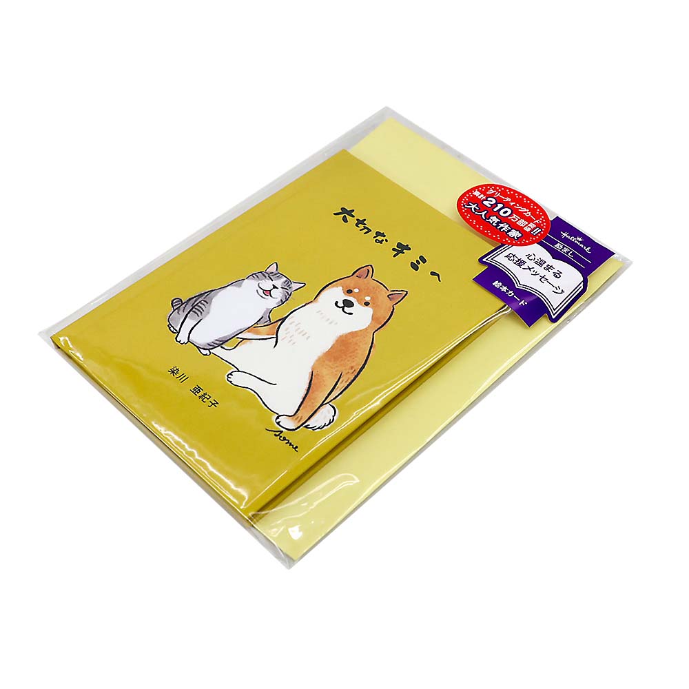 ＧＦＳ絵本大切なキミへⅡ　ＥＡＰ－８１６－８４１