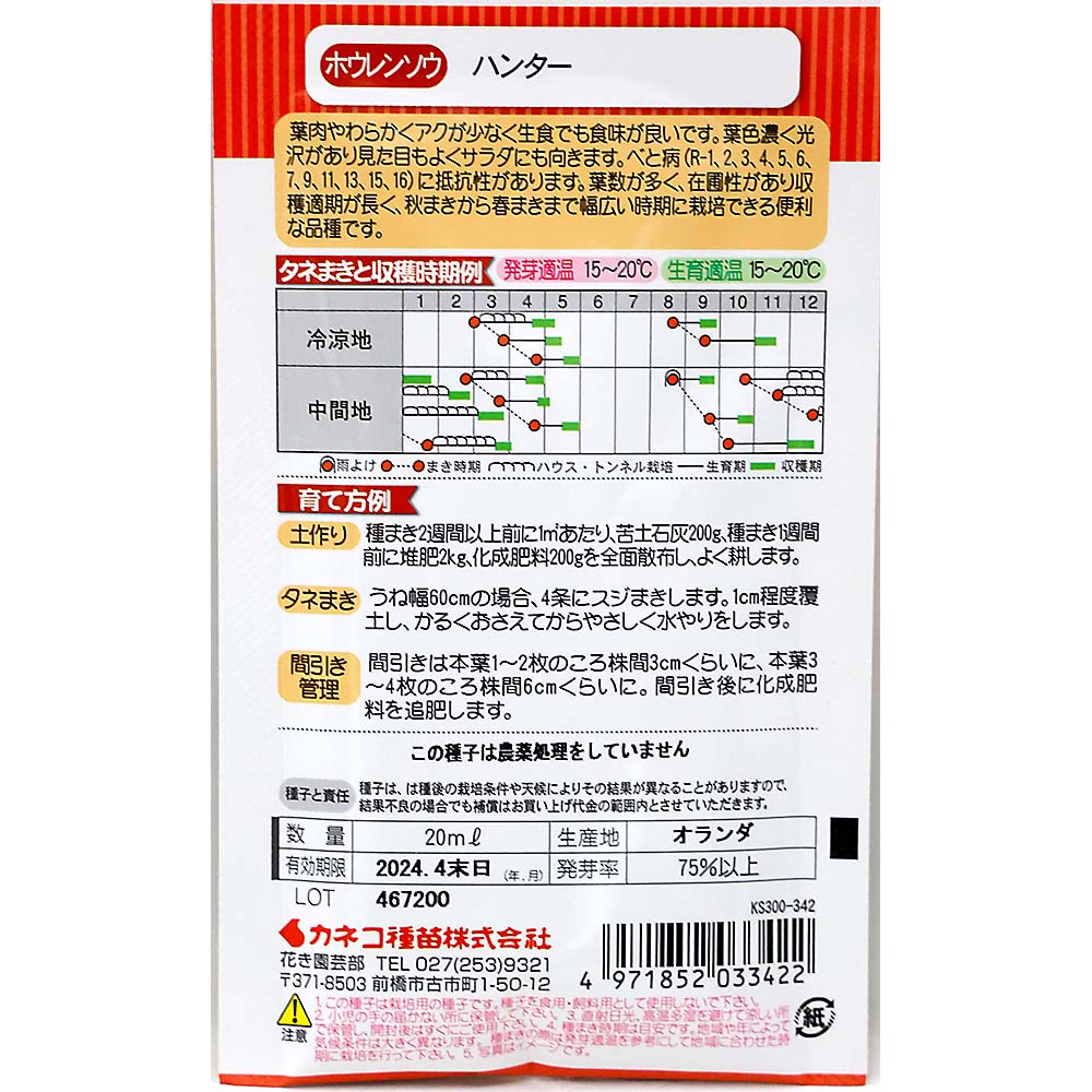 ホウレンソウ サラダほうれんそう ハンター　春秋兼用