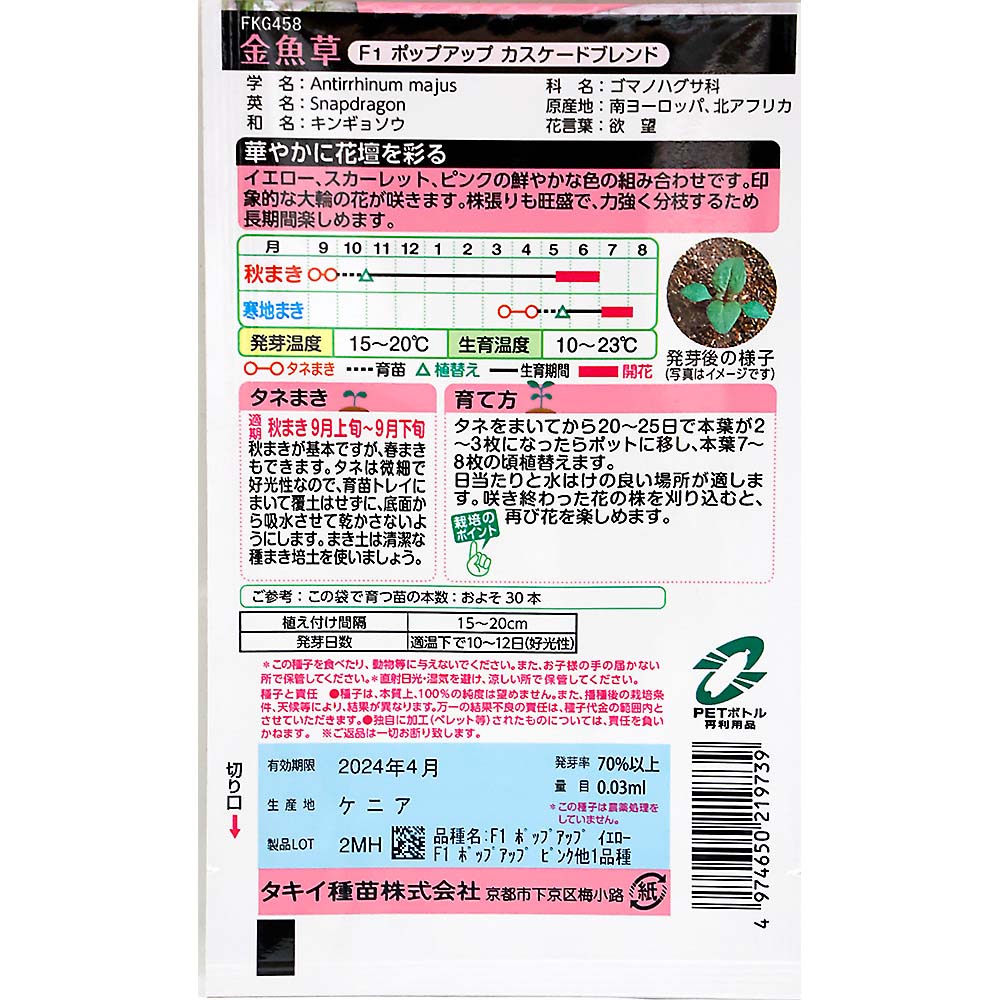 金魚草F1 ポップアップ カスケードブレンド FKG458　秋まき