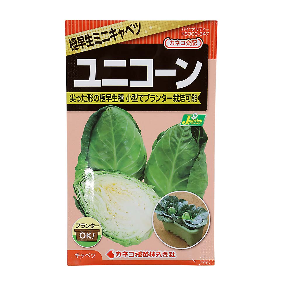 キャベツ 極早生ミニキャベツ ユニコーン　春秋兼用
