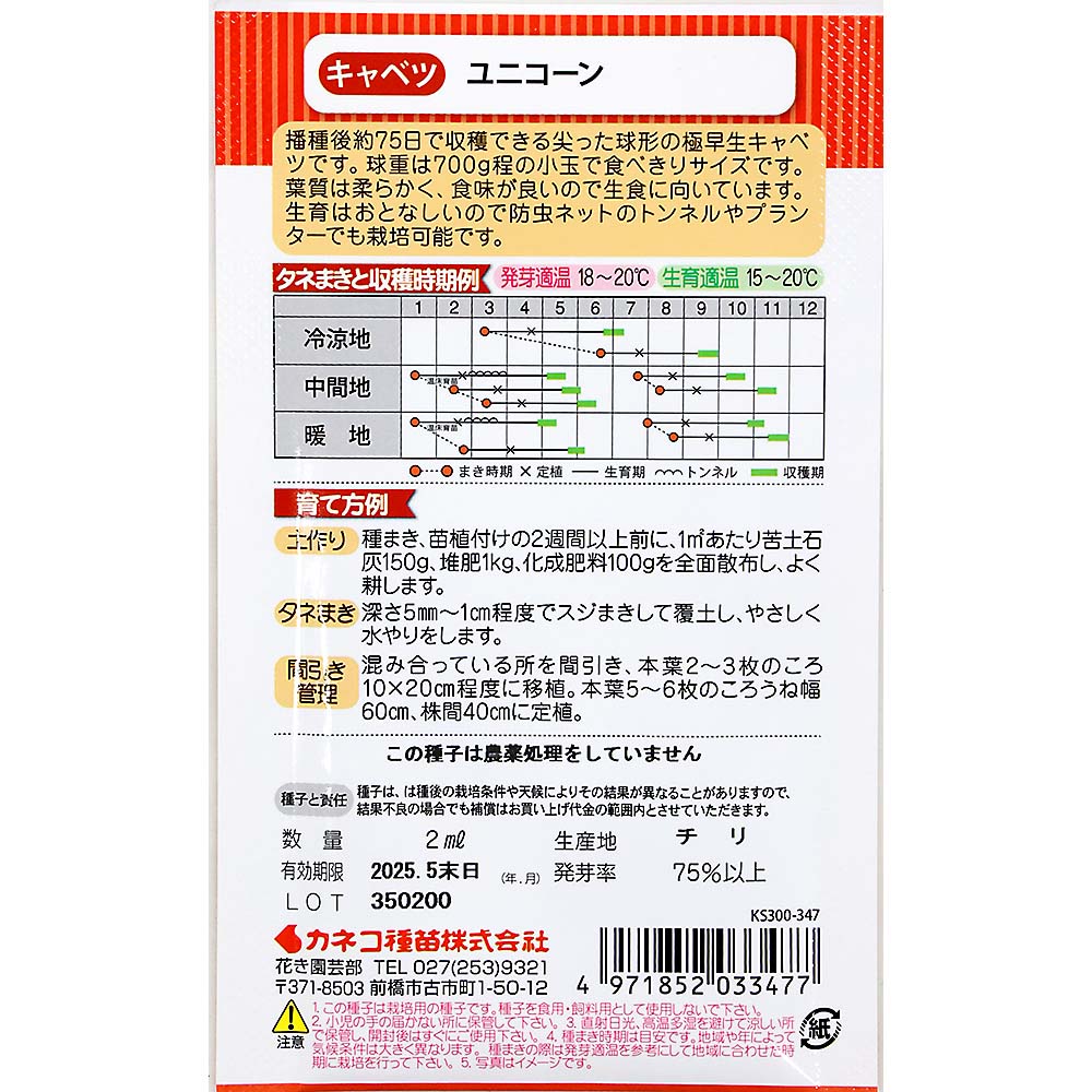 キャベツ 極早生ミニキャベツ ユニコーン　春秋兼用