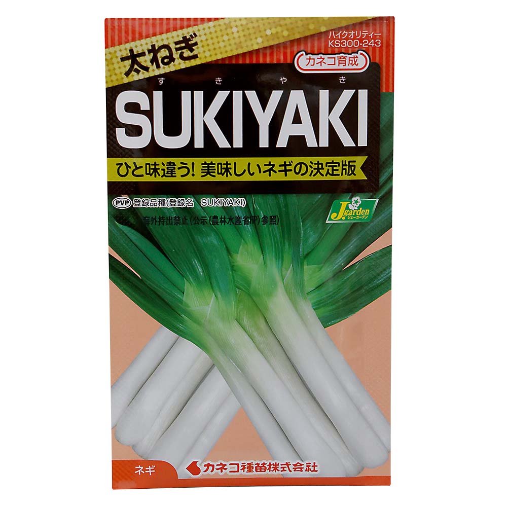 ネギ 太ねぎ SUKIYAKI　春秋兼用