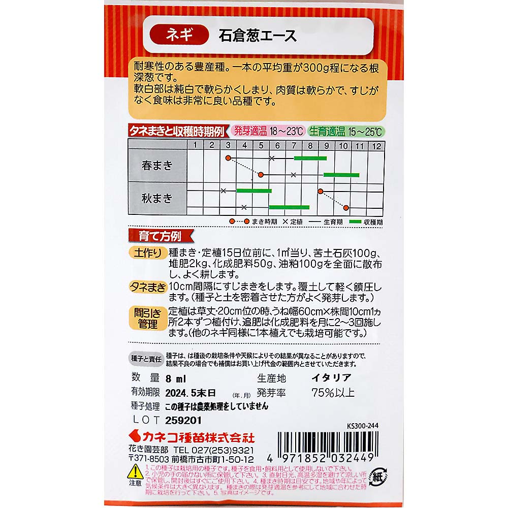 ネギ 石倉葱エース　春秋兼用