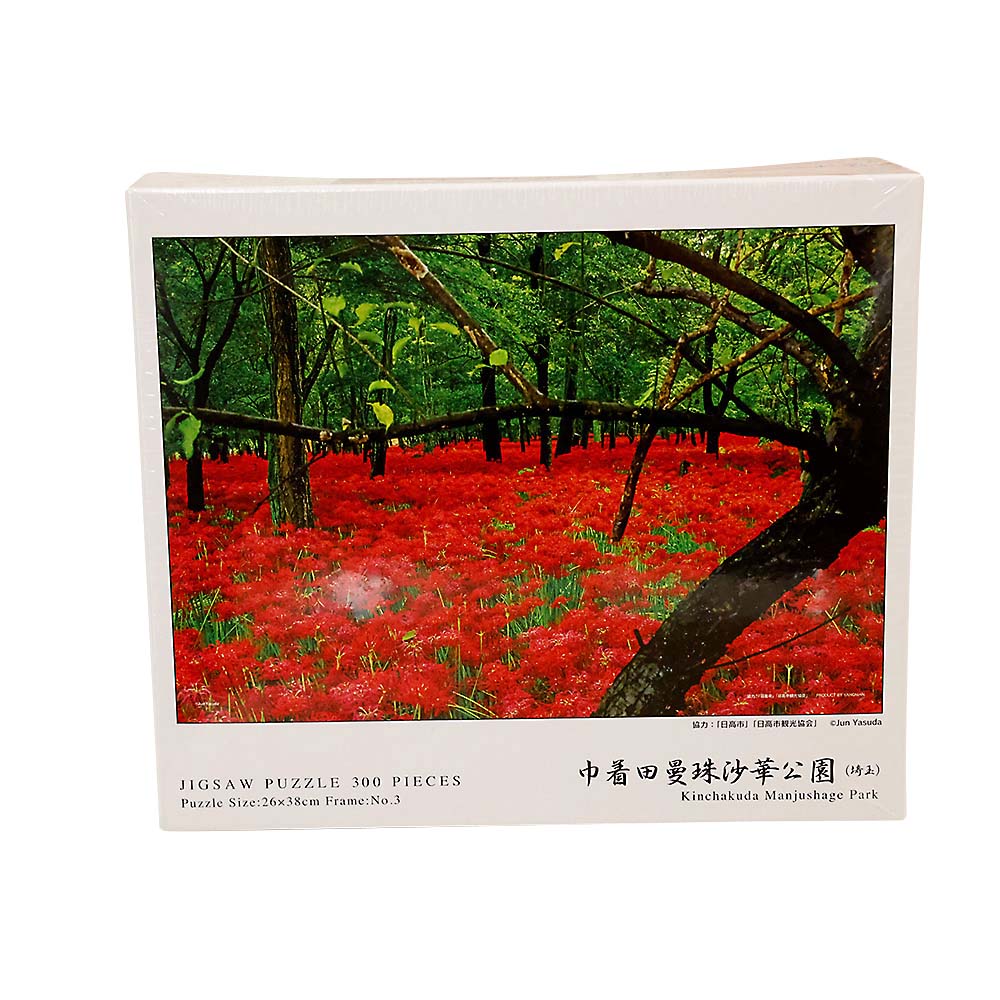 巾着田曼殊沙華公園(埼玉)　03-944