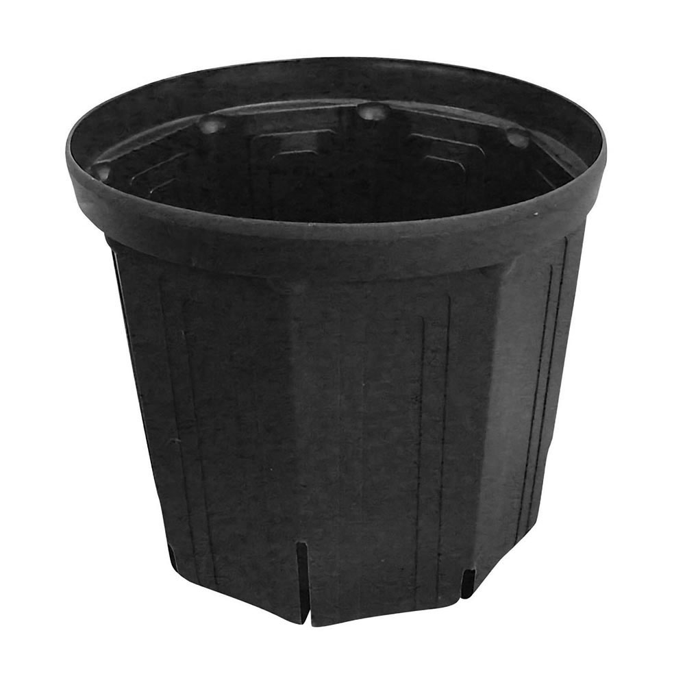 ＣＳ　ＰＯＴ　ＣＳＭ－２１０　黒