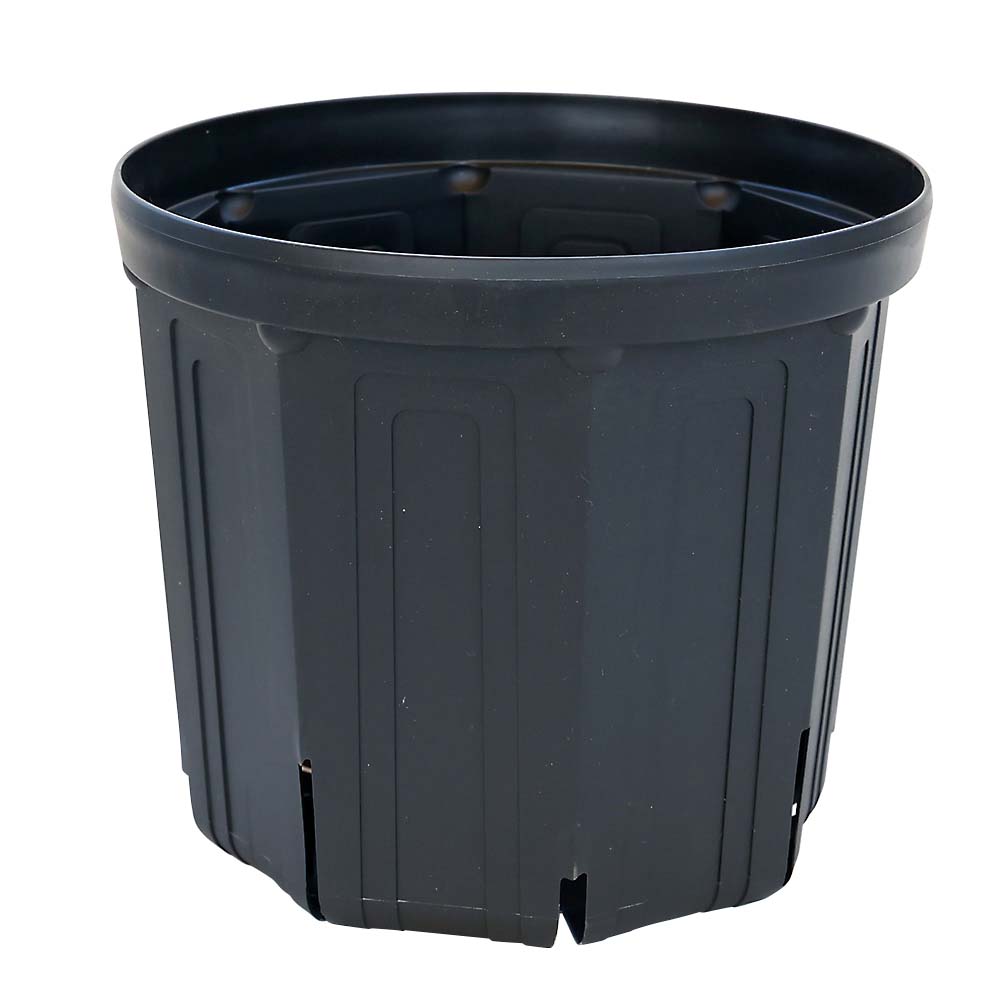 CS POT CSM-240 黒