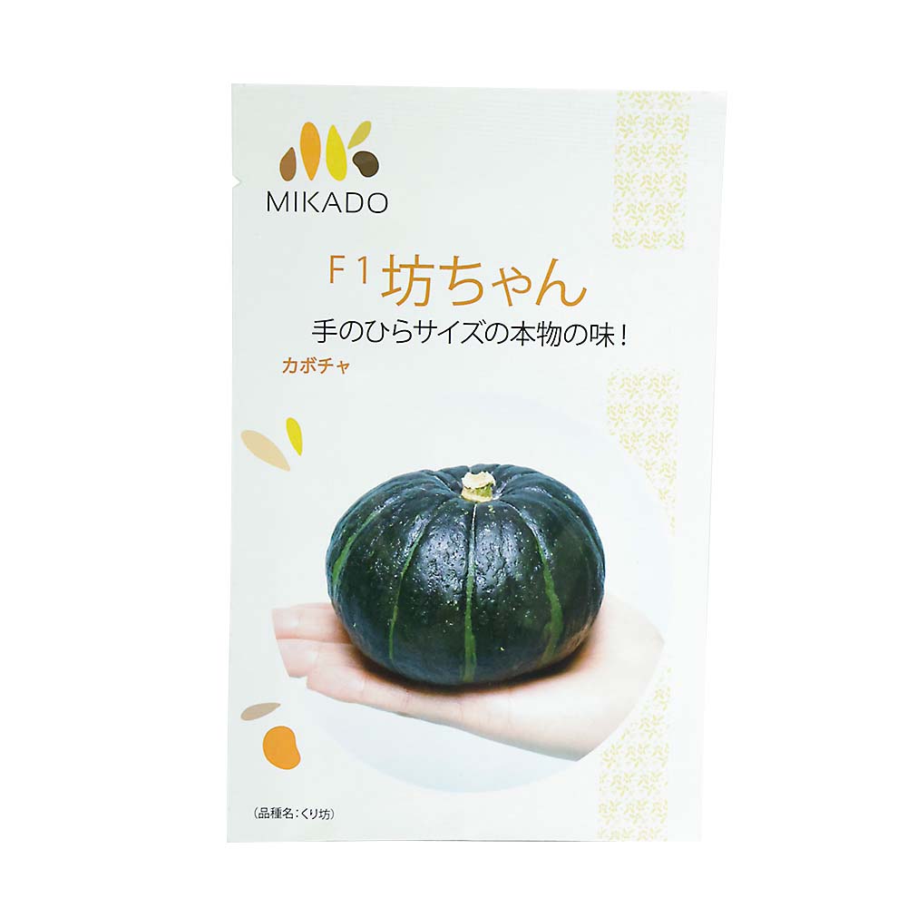 坊ちゃん