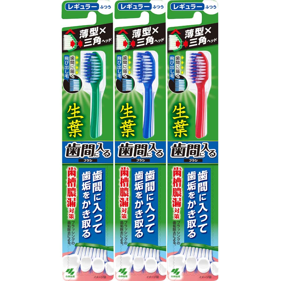 生葉　歯間に入るブラシ　レギュラー
