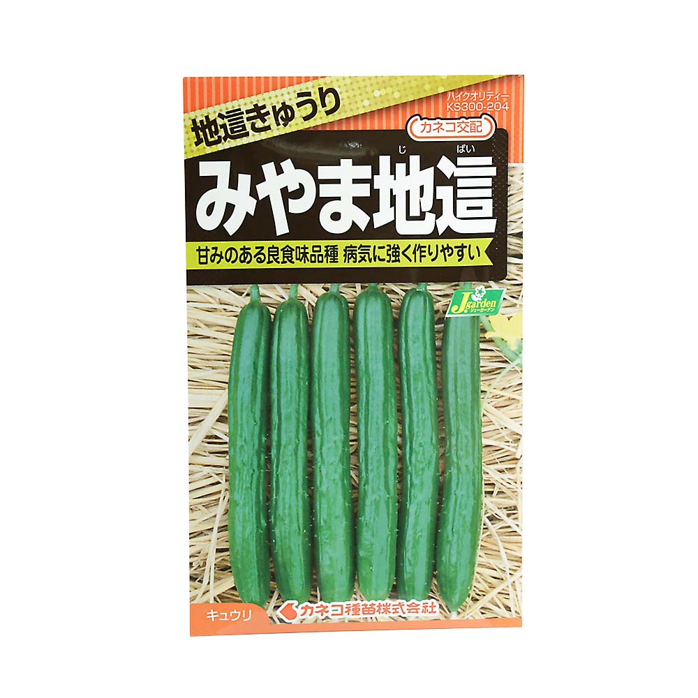 キュウリ 地這 みやま地這　春まき