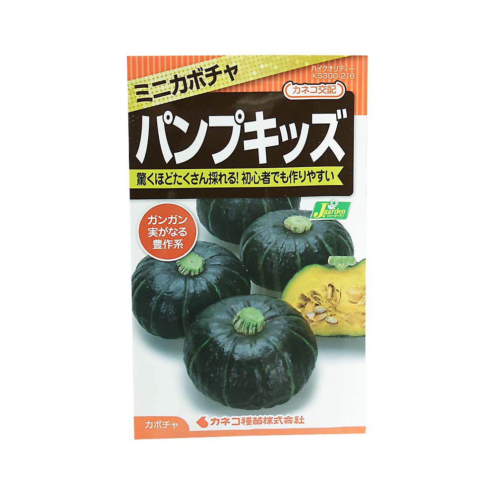カボチャ ミニかぼちゃ パンプキッズ　春まき
