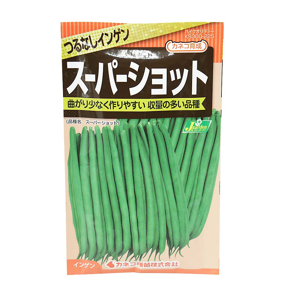 インゲン つるなしインゲン スーパーショット　春まき