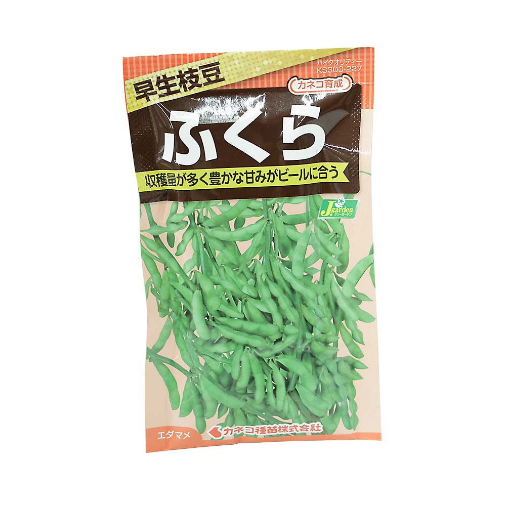 エダマメ 早生 ふくら　春まき