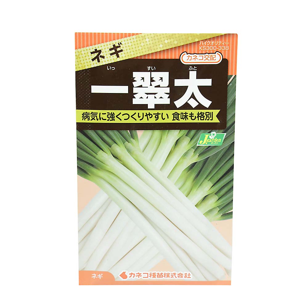 ネギ 一翠太　春まき