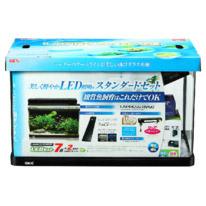 ＧＥＸ　ラピレスＲＶ６０ＤＴ　ＬＥＤセット