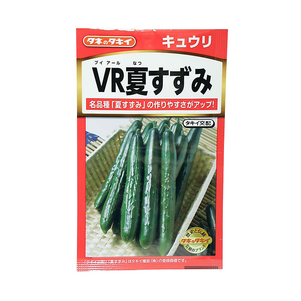 キュウリ VRナツスズミ　春まき