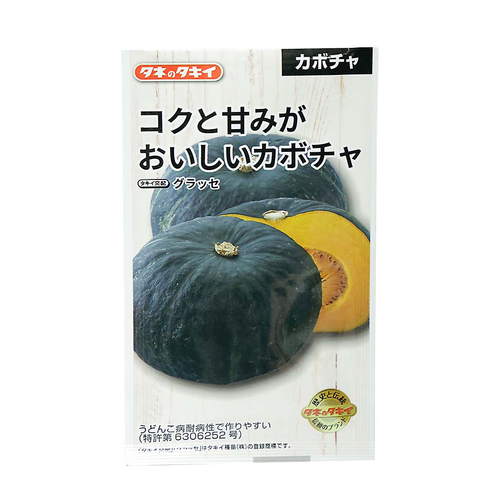コクトアマミガオイシイカボチャ グラッセ　春まき