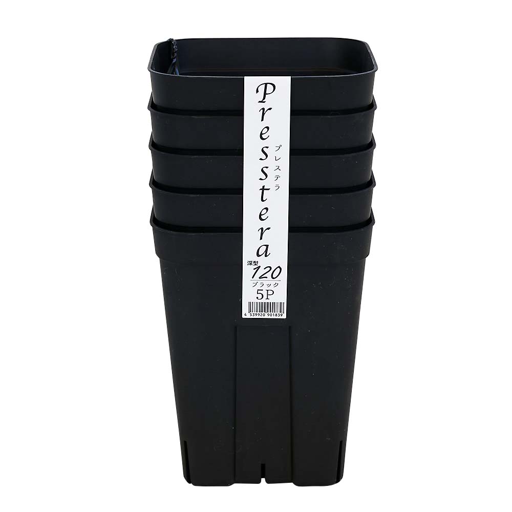 プレステラ 深型120 5個組 ブラック